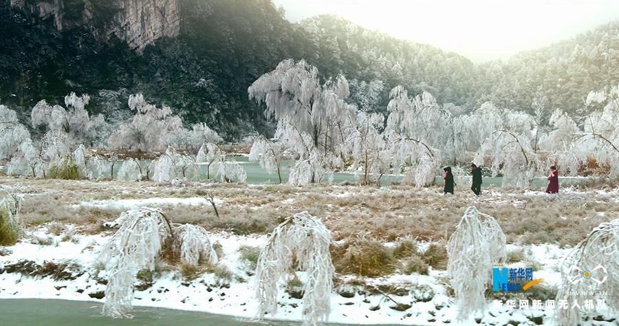 新华网：雪后重庆山中美景，每一帧都是仙境！