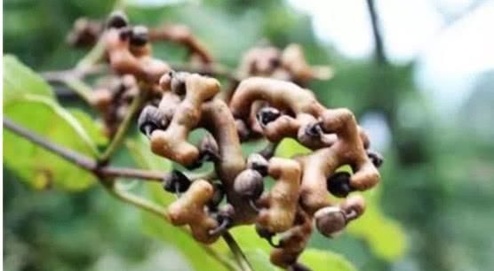 得了高血压不用怕! 多吃这几种食物, 高血压和你“分道扬镳”!