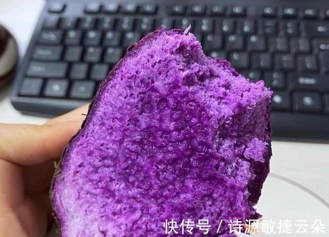 紫色|被称为“月子参”的紫色山药,江西人坐月子常吃,外地人很少知道!
