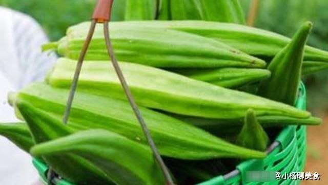 鸡蛋液|9月，遇到这菜别手软，再贵也要买，高营养低能量，炒鸡蛋吃特香