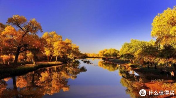 我的父亲母亲|移动画面 篇五十九:让这些秋天的影视,带你领略秋天的多彩