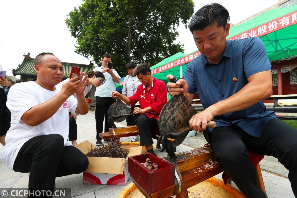 中药材|河南许昌：禹州举行中医药文化宣传周