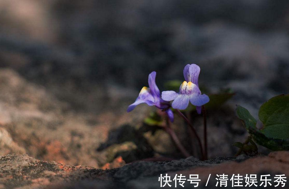 在乎你!做人要懂得:即使关系再好,这四件事也不要告诉别人,原因很现实