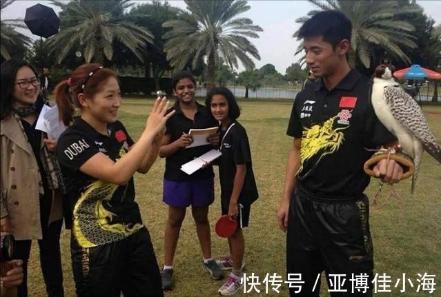 广东省队|张继科&刘诗雯恋爱史:相恋7年分手定十年之约,男方娱乐圈惹绯闻