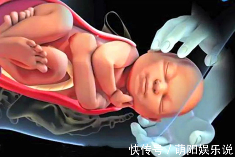 生育|为什么动物生育后代那么轻松,人类分娩时却疼得撕心裂肺?