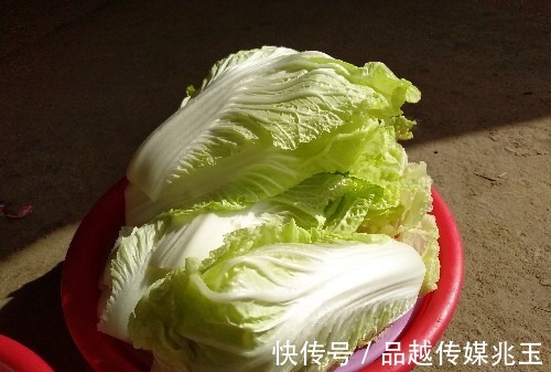 新招|河南农村50岁阿姨出新招,白菜别再炒着吃了,这样做小孩抢着吃