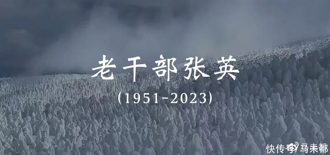 难以置信（念天地之悠悠 独怆然而涕下）念天地之悠悠独怆然而涕下出自谁的登幽州台歌 第36张