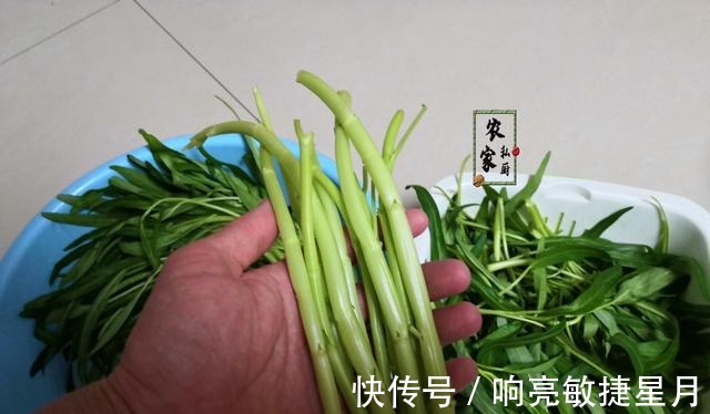 绿叶菜|别拿绿叶菜不当大餐，正当季虫害少，简单一炒碧绿脆嫩营养又好吃！