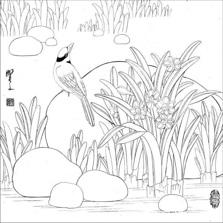 资料集|王道良实用花鸟白描资料集