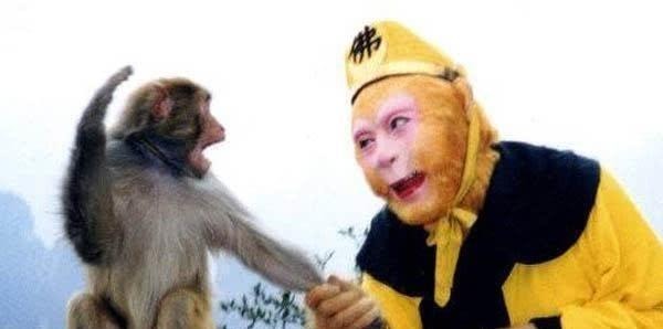 前任@难怪悟空要大闹天宫,玉帝太过分了,你看看上一任弼马温是谁!