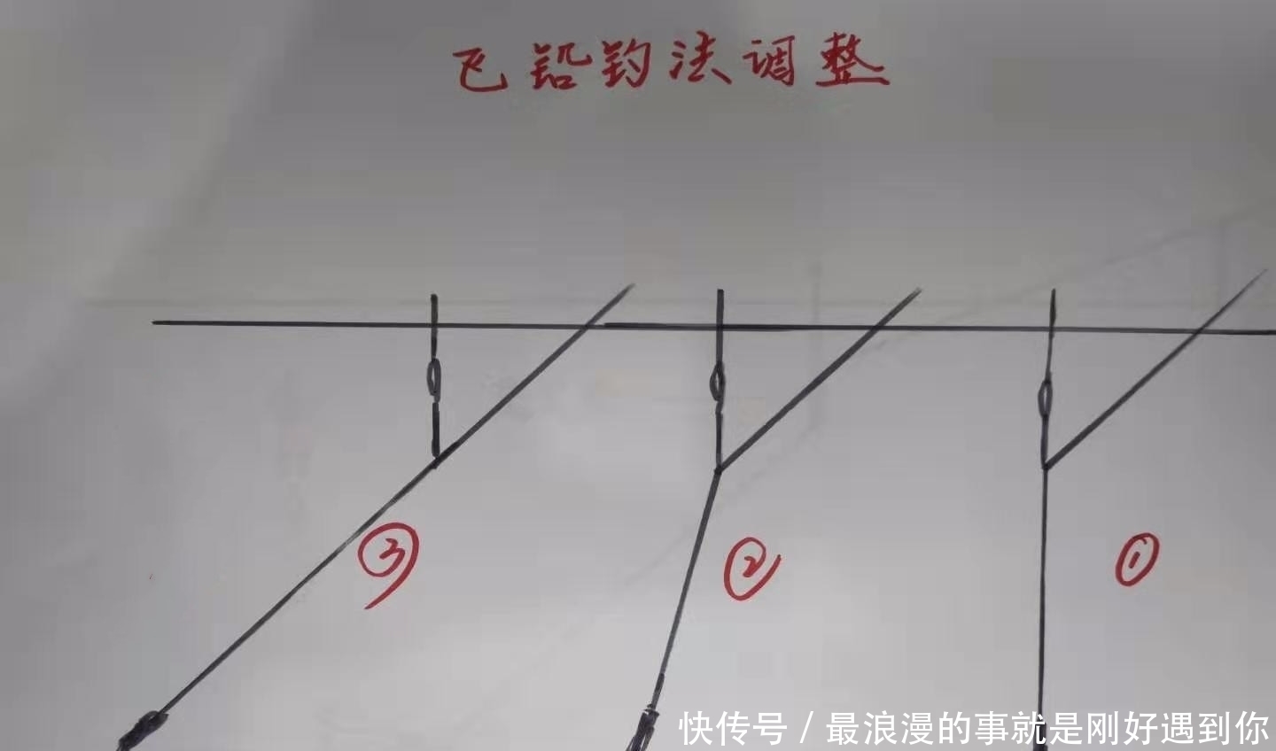 饵料|为什么太阳出来后，鱼就停口了？解析温度升高水中缺氧的作钓技巧