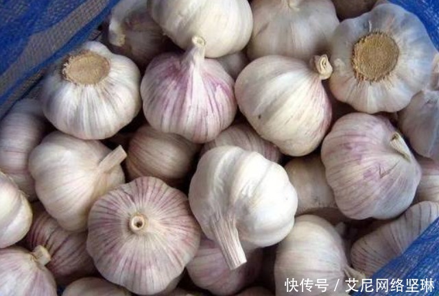 身边|藏在身边的天然“吸糖王”,早晚换着吃,稳定血糖,或远离糖尿病