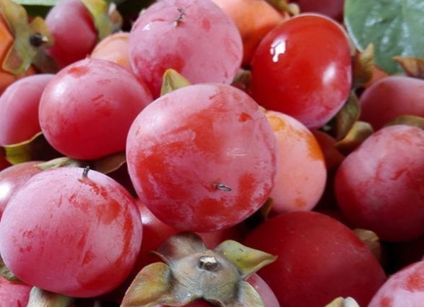 补血活血|女人最好的零食,不想老太快秋后多吃,补血活血,保持健康好气色