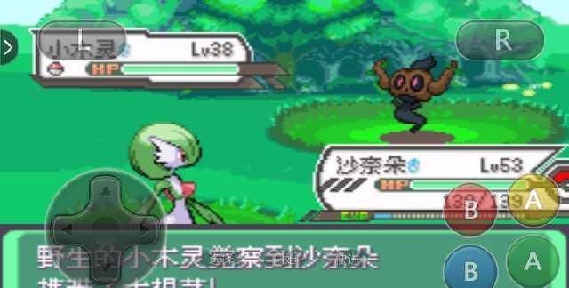 回复|口袋妖怪回复流的利器传说中的大根茎原来是这么用的