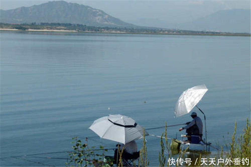 进入5月,钓鱼有4钓4不钓,只要技巧跟得上,夏天钓鱼也能连竿