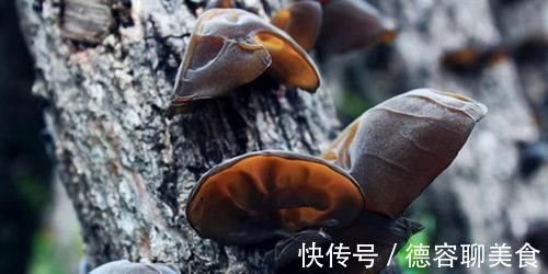 紫苏根|被痔疮缠上不用怕,经常吃这几种食物,痔疮或会慢慢好起来