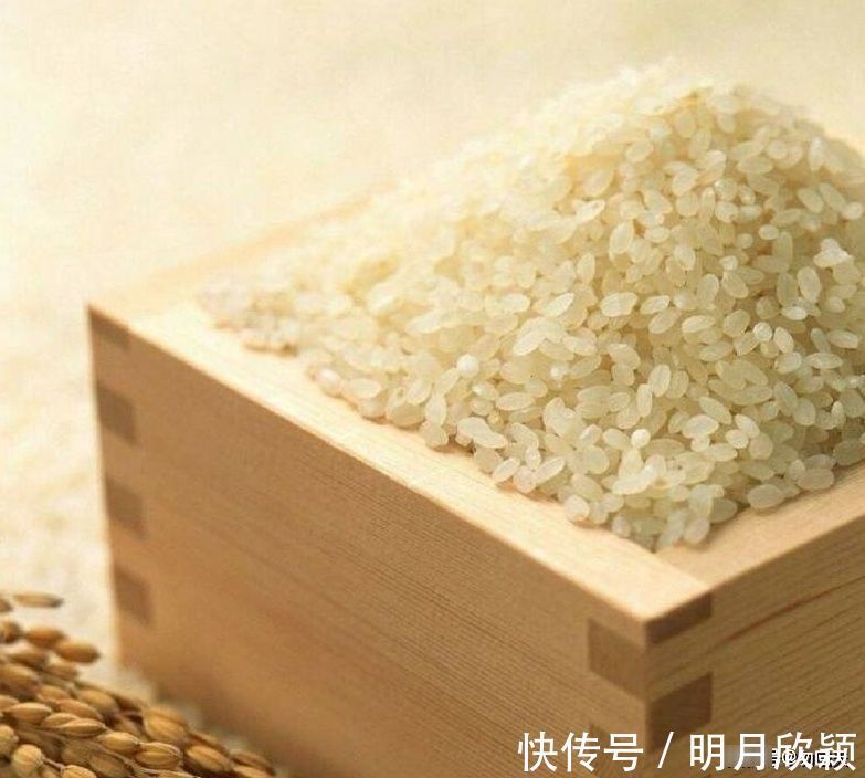 妍宝|婴儿辅食:大米和小米,哪个好消化?很多妈妈都理解错了