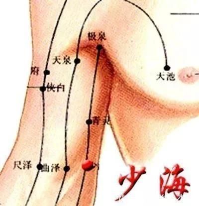 中渎穴|调理手颤、手麻、脚麻、面部神经麻痹,它们是立竿见影的必调穴