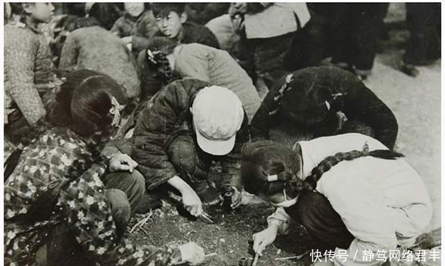 鼠王邱满囤:曾一次灭鼠80多吨,晚年被专家批评后秘方都没公开