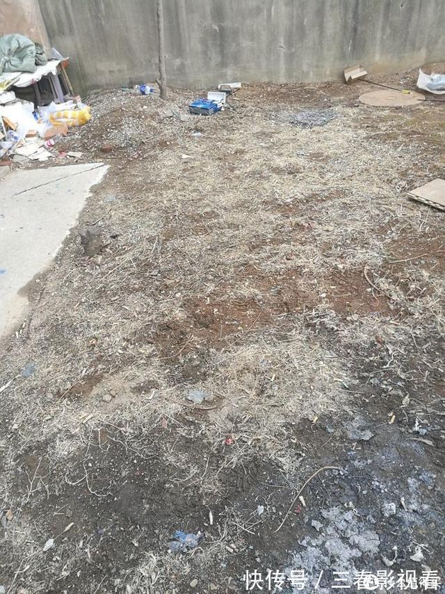 减震器|48包邮的精灵弓箭惊魂直拉弓开箱测评