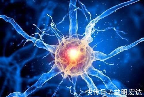 长寿|为什么高血压人群要注意心跳次数？心率越慢越长寿吗？说出原因