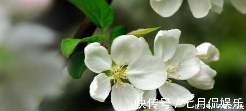 伤感#李商隐的这首《花下醉》,也是难得的名篇,表达了一种无奈的人生