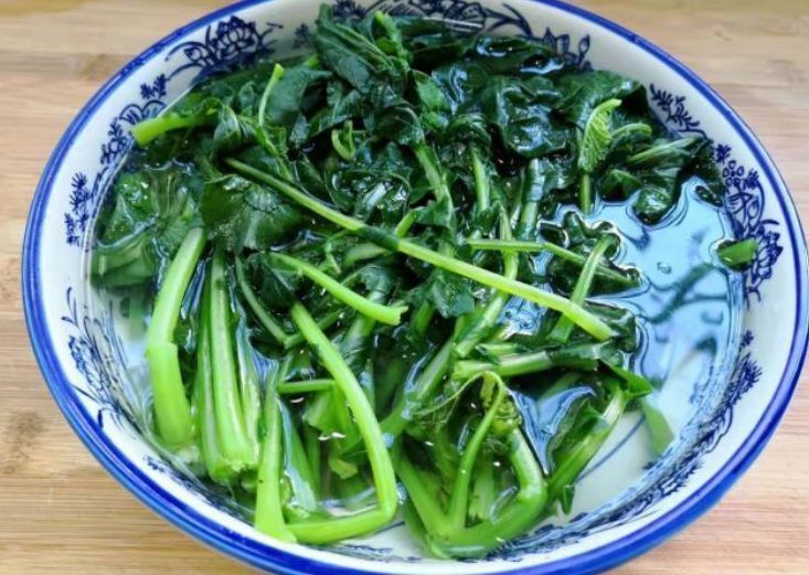 肠道|天冷了，遇见此菜买10斤，每天炒一盘，止咳润肺，给肠道洗洗澡