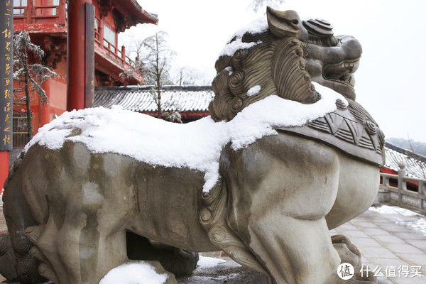 金佛山|夏日忆雪---重庆南川金佛山赏雪记