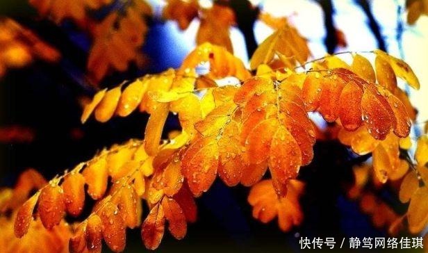 冬天|冬天的雨,最清冷的冬日诗词