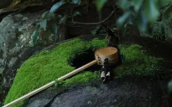 庭院|愿得一庭院,只用来喝茶