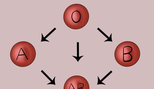 易出现|血型与健康有关？什么样血型比较健康？关于血型，你知道多少？
