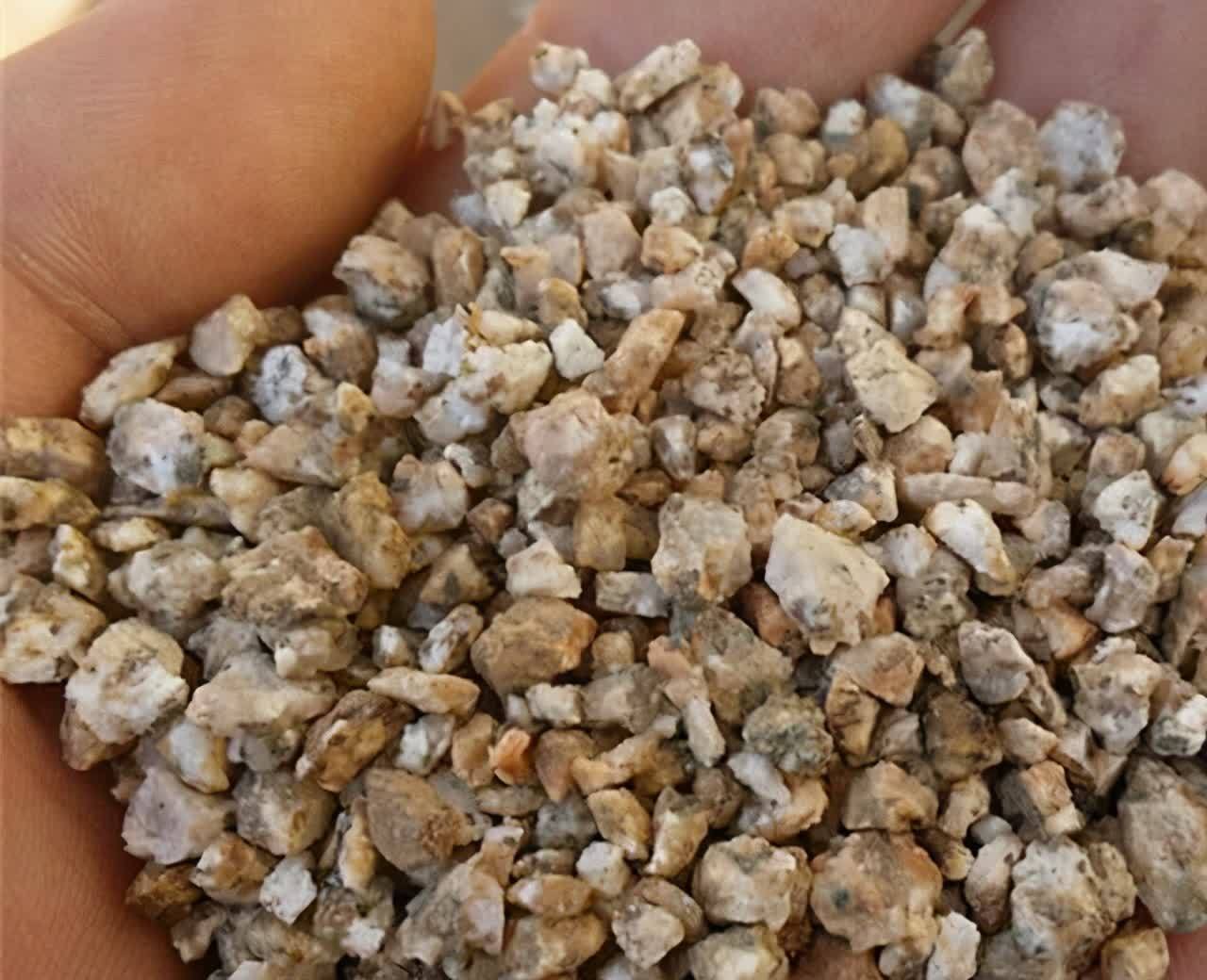 3种“东西”别浪费,路边一大推,一分钱不花,养花效果一级棒