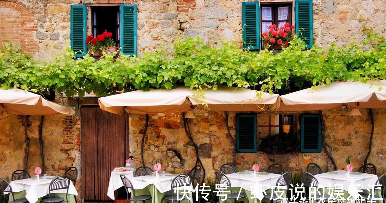 5种花适合养在窗台上,晒晒太阳,浇浇水,让你的窗台花团锦簇