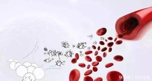 黑芝麻|血液垃圾的“天敌”找到了,40岁以后可劲吃,血管一天比一天好