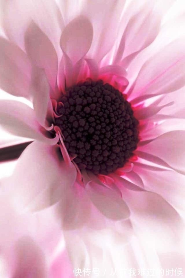 警世名言！醒悟人生的警世名言，睿智透彻，句句中肯实用