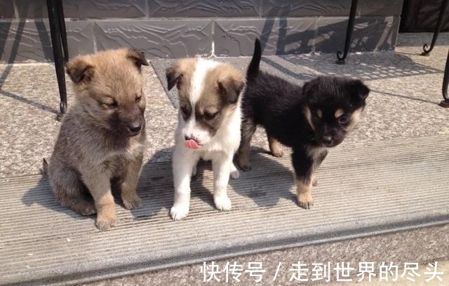 萬暢|專訪萬曉利:再見了,民謠