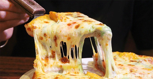 “芝士”到底是什么东西听到它的“小名”后，一下就掉档次了！