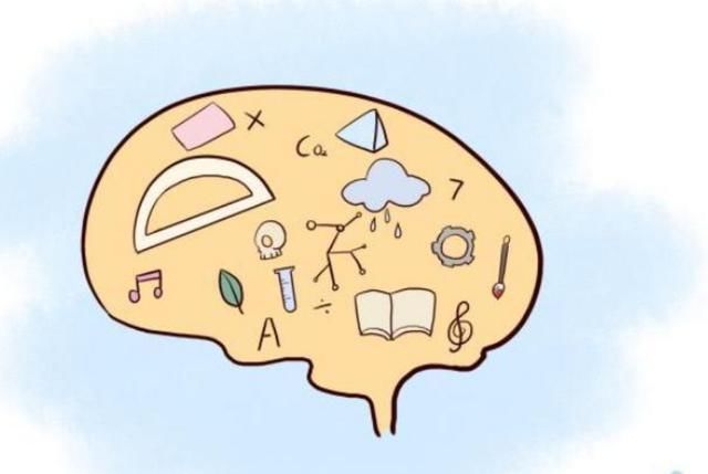 大脑功能|哈佛研究发现:孩子一生有三次“变聪明”的机会,家长要帮娃抓住