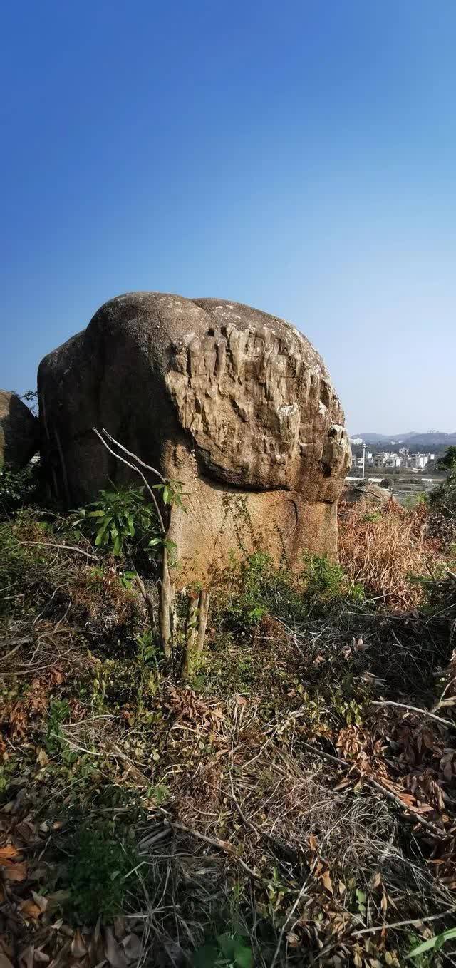 春日再游香山（作者：漳浦 宽心）