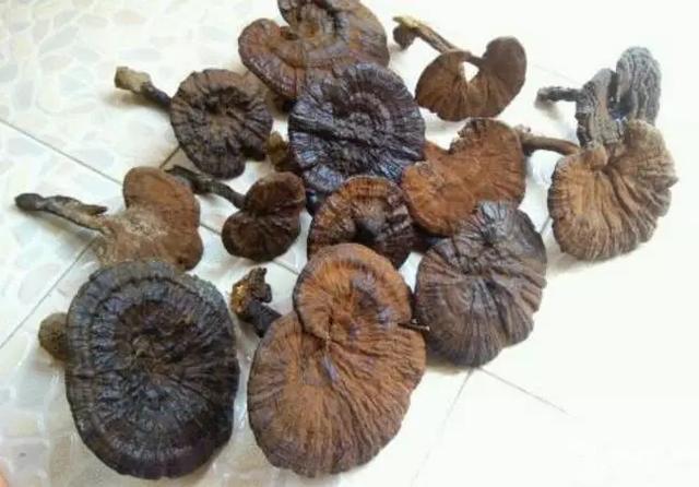 枸杞子|140個小方子，太珍貴了！救人無數，建議收藏