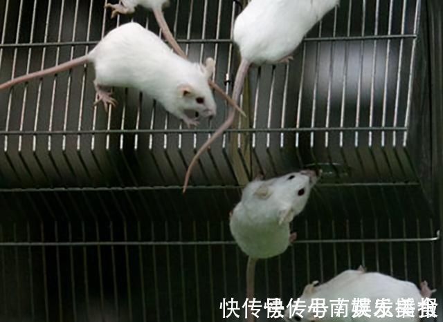 孩子|不管穷养还是富养,在这两方面,家长要舍得对孩子“下本”