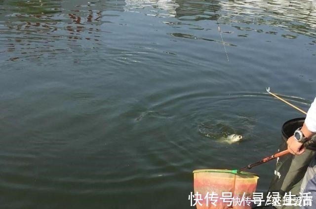 鱼儿|野钓鱼儿活跃水层多变,如何快速定位鱼层两个方法三个原则