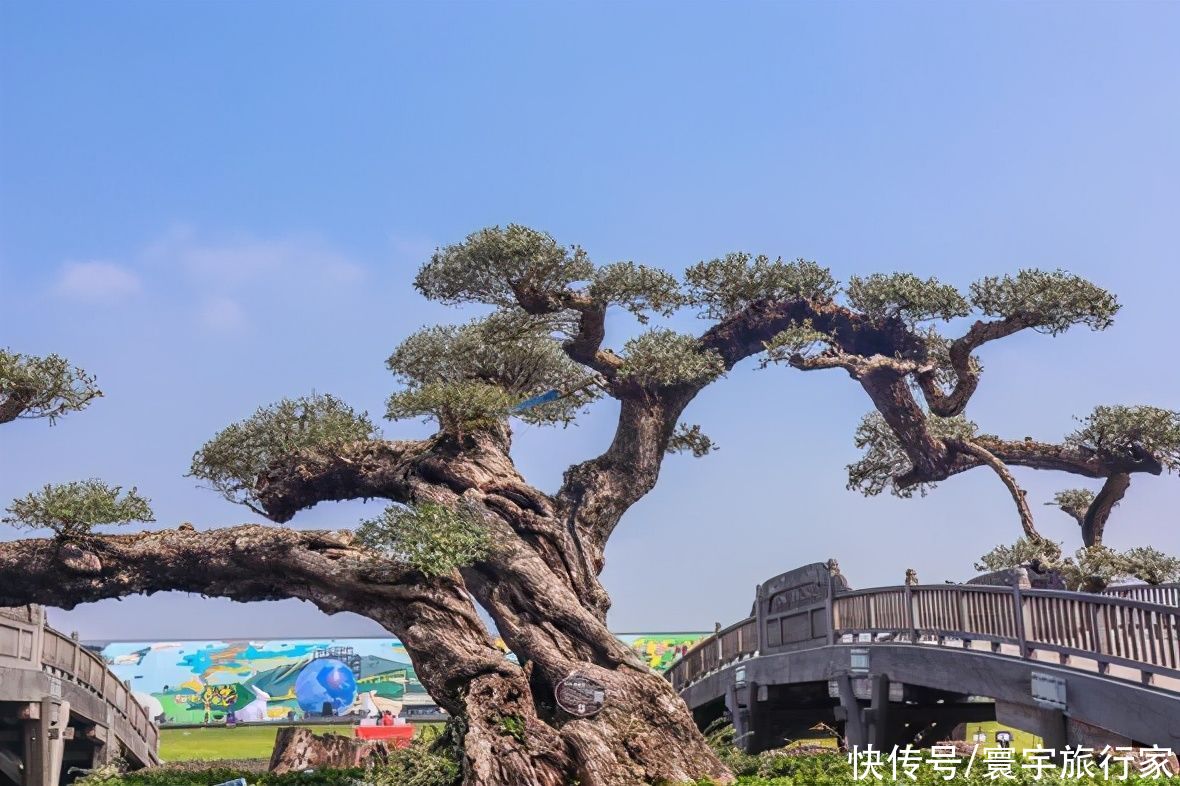 高大|巨资打造、还有众多名贵红木，这个“高大上”的景区等你来打卡