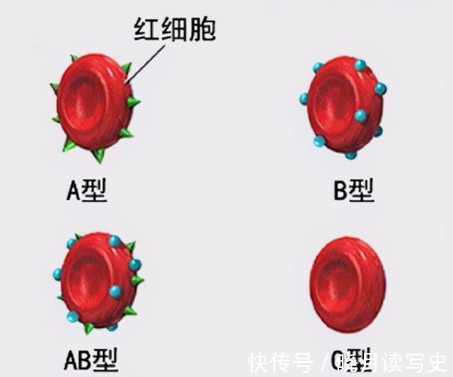 宝宝|妈妈血型决定孩子智力吗？这个血型的娃，或会有优势