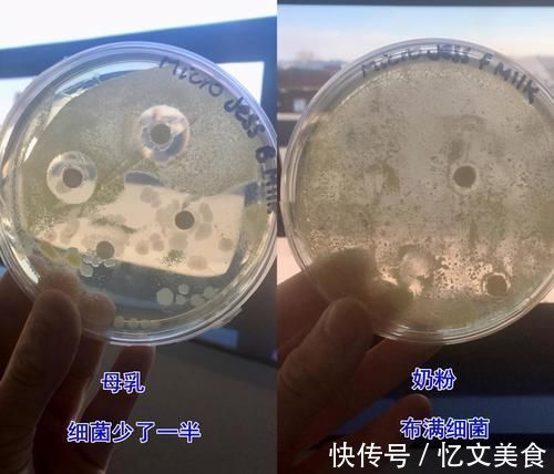 宝妈|母乳到底有多“神奇”?一个实验为你揭晓答案,你可别小瞧了它