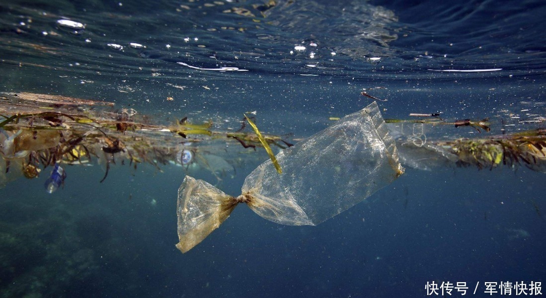 探测器下潜10926米，眼前一幕引人深思，专家人类必须警惕