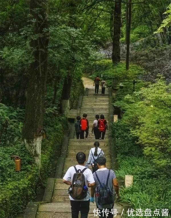 歌单|打卡各个年代歌单，快来看看哪一首和夏天更配呢