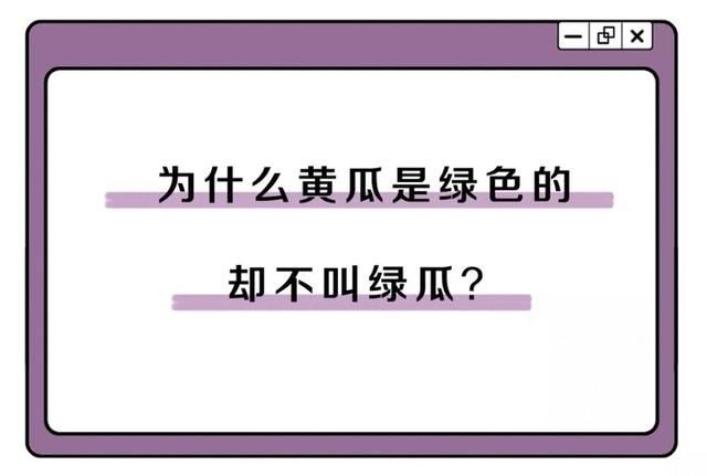 黄瓜|为什么明明是馍夹着肉，却要叫肉夹馍？答案其实很简单