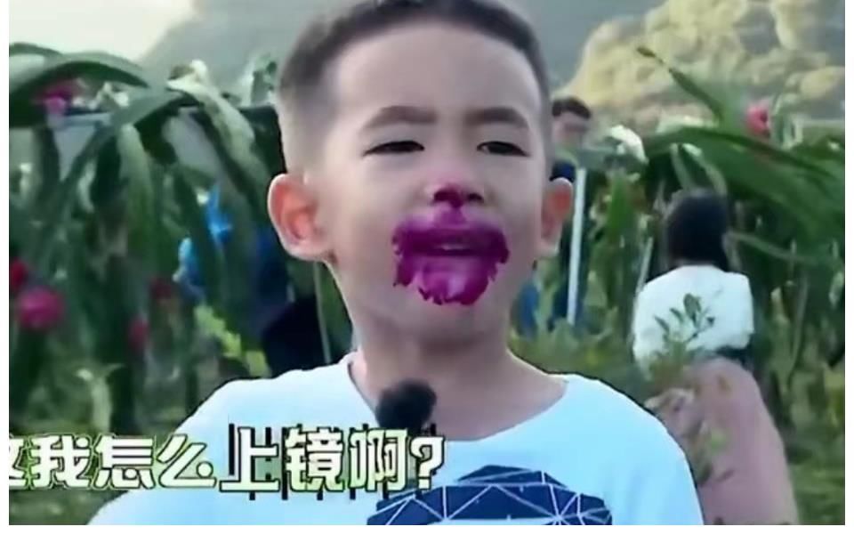 小春|陈小春小丑装VS Jasper吃火龙果,场面太美,哈哈哈哈哈笑不活了