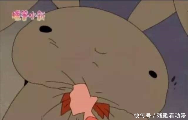 蜡笔小新中樱田妮妮的暴揍的布偶兔子,名字原来有这么美好的寓意